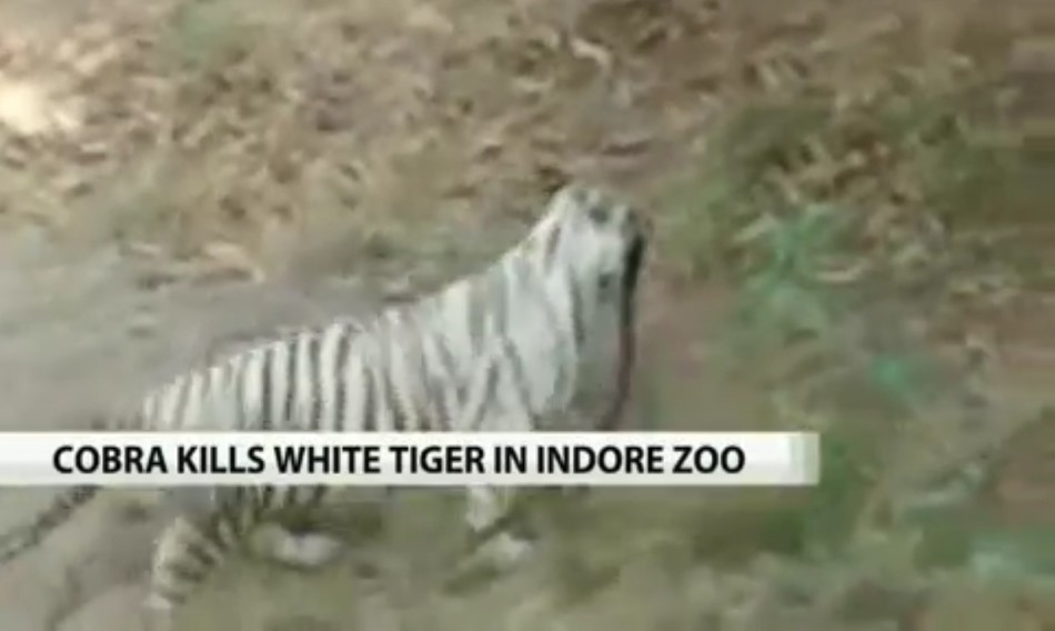 صĵ򱨵ʱ20141227գӡӡӡ԰һͷİ׻۾߷׻۾ҧ۾ˡ