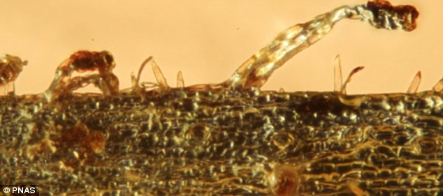 ЩֺҶϵĸɴӪƬչʾڴֵӡѧ˵ֲֿǲƼڳԱĴ