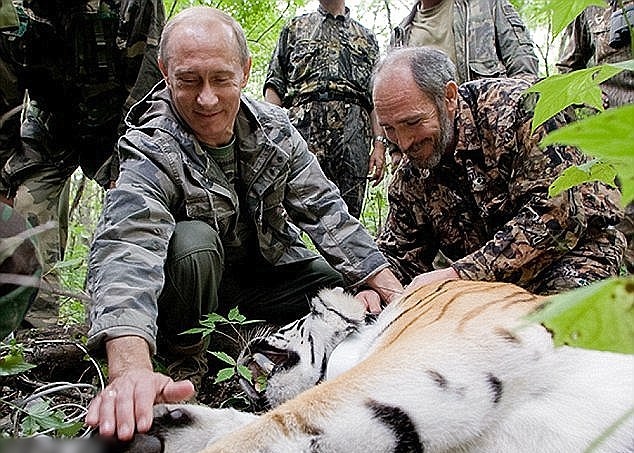 ˹ҮΪվ()ǰ1ֻ(ͼƬ)