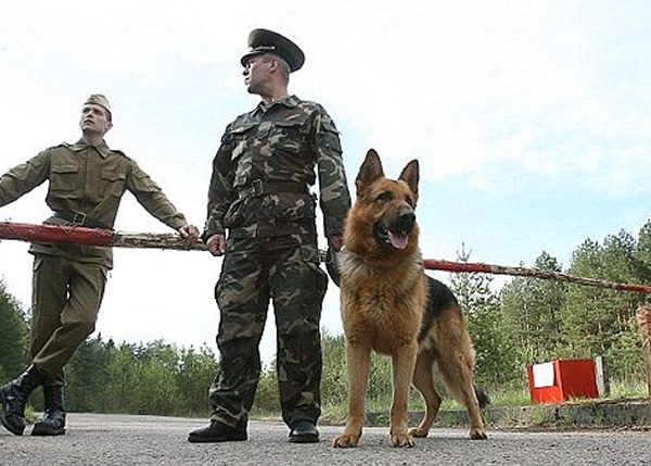 游客可到立陶宛体验森林求生历险