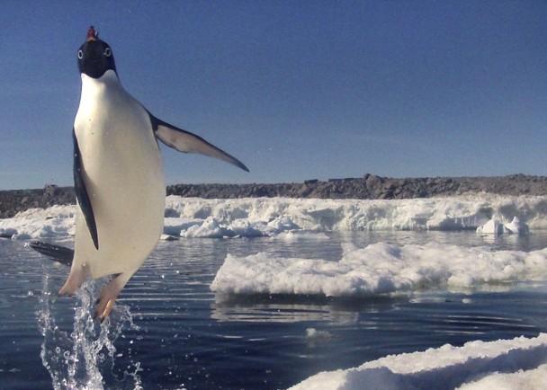 ����˷ܵ����������