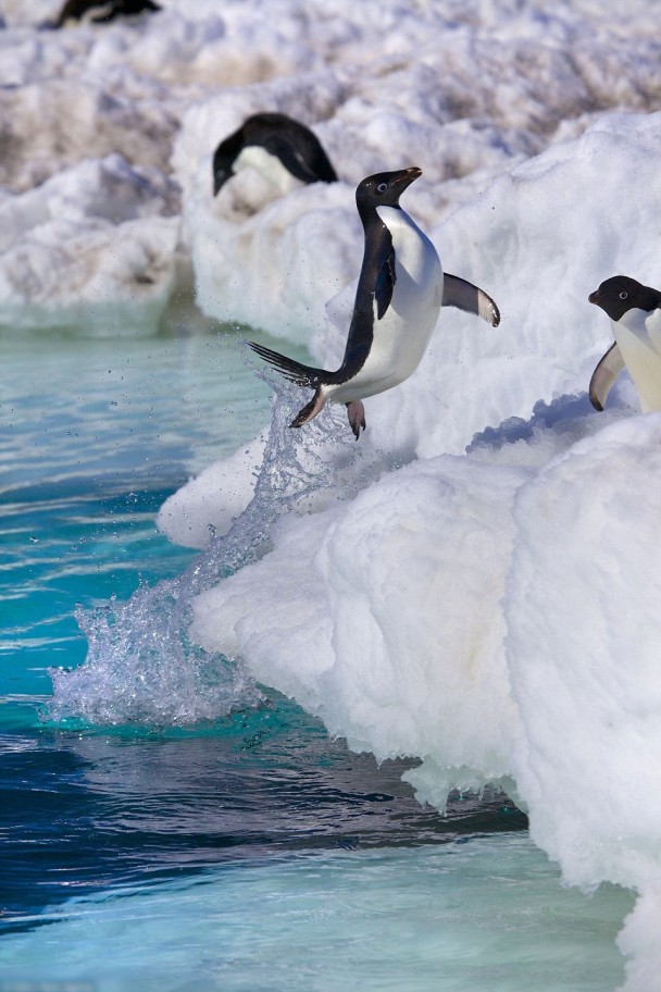 ����Ƿ׷�Ծ��ˮ��