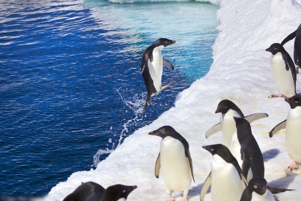 �Ž�����ȴ�ͬ����ˮ�󣬱�һͬ�뿪��