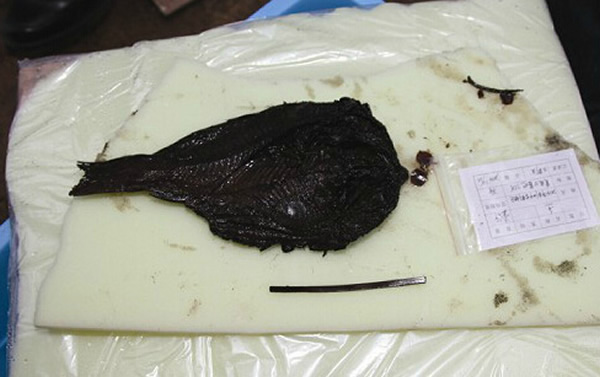 ���ŷ��֣�������Ĺ����2400��ǰ�������