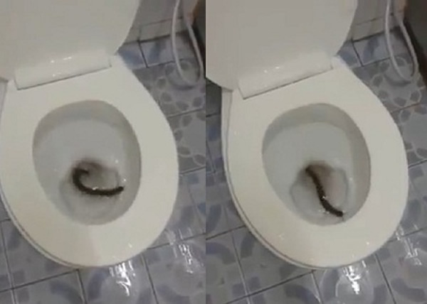 ��Ϊ��Ͱû��ɾ� ϸ��ԭ���Ǵ����