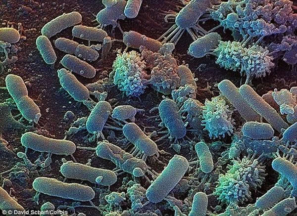 ǻڴǰ11·ݵһоɹоУѧǷӵгٽ̼廷档