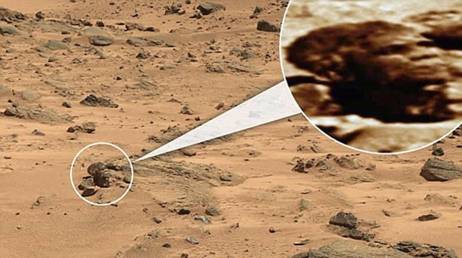 �ڲ����������������У����ǹײİ�ʾ�˲���Ԥ���������չ��������Ϊ�����ڹŴ����ܴ��ڸ߼����������Ǵ����˻�����������ͼ�еĹײ�����������������µ�����������˹���