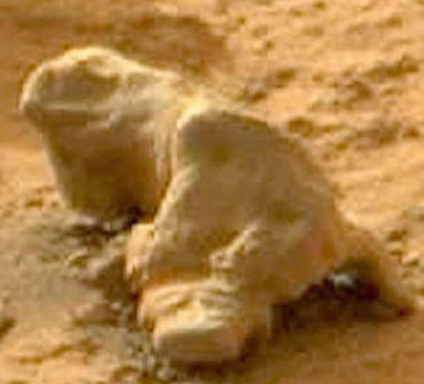 ���������ʯ������ϵ��������ơ�