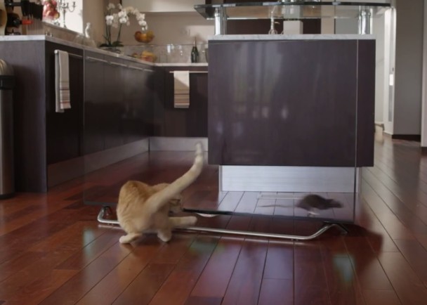 有猫咪信以为真,想要捕捉画面中的老鼠。