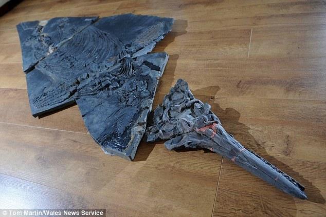 ��Ӣ������ʿ������˹��ɢ�����ⷢ��һ��2����ǰ����������������ʯ