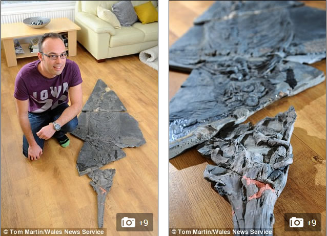 ��Ϥ������ɭ�����ĸ�绨����һ��ʱ�䣬�ھ��������60���������������ʯ������ɭ��������Ϊ����Ȼ�����