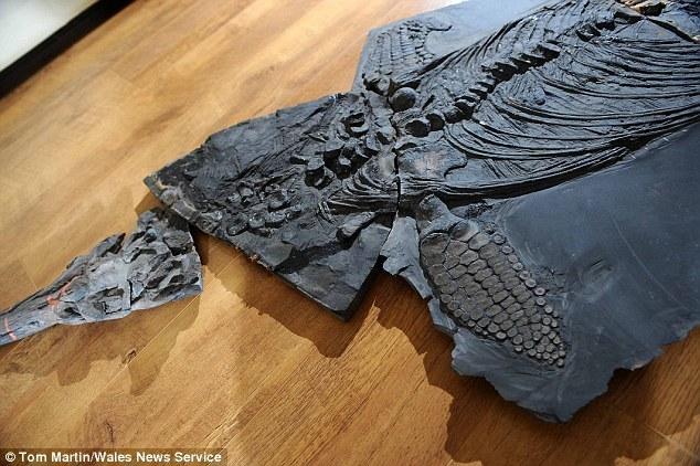 ����Ҳ�����������桱����٪�޼�ʱ���ں������ζ������ж������������������ͬһʱ�ڡ�