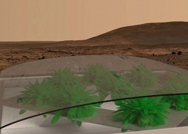 英国有大学生计划在火星上种菜。图为火星种菜构想图。