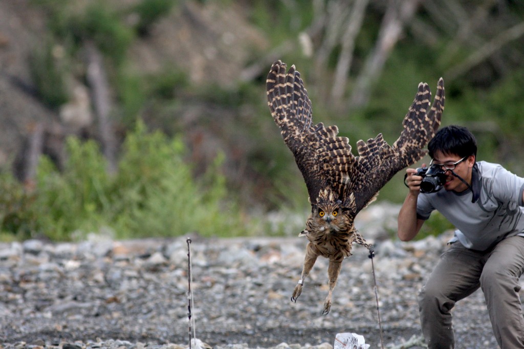 װ�����ߵ緢�����Ļ����^����Ҫ���߷ɣ��о���Ա�������ں����ռ�¼��ͼƬ�ṩ�����ƴ�Ұ����������̬�о��ң�����ΰ��Ӱ��