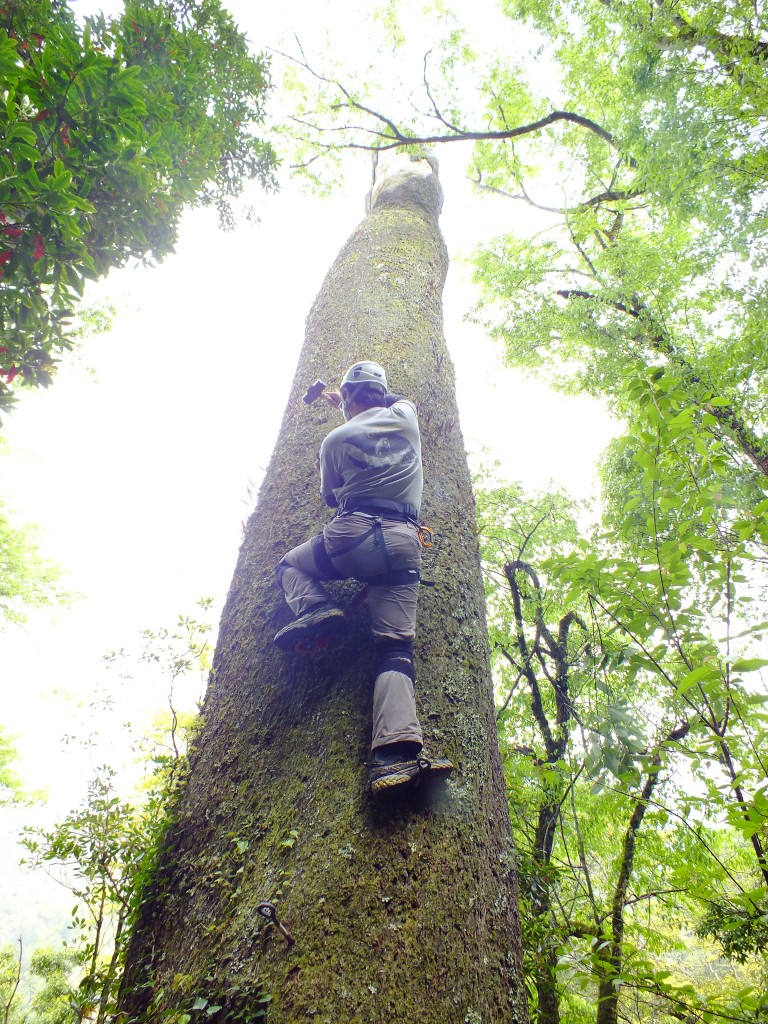 �������ֿ���ľ���о���Աֻ���ô�����һ��һ������������ͷ��û�����־����ˡ�ͼƬ�ṩ�����ƴ�Ұ����������̬�о��ң���Т����Ӱ