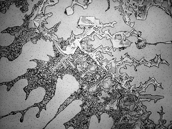 ����ϣ��ʱ������