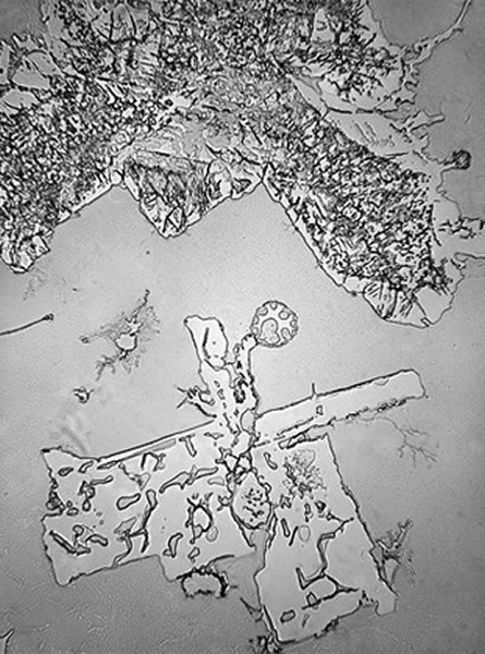 ���ʱ������