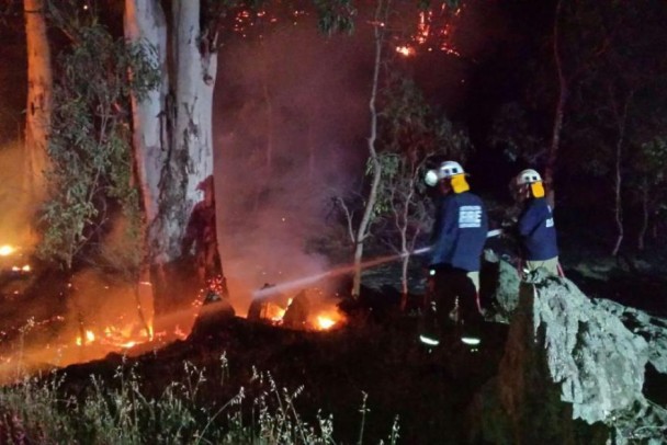 澳洲南澳省森林大火失控 1983年来最严重