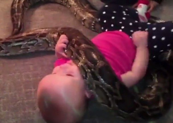 ŮӤ�����ο���Ť��һ�ţ����޸��ң���Ϊ�����ѡ�