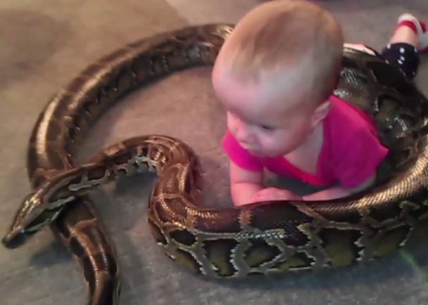 ŮӤ������Ϊ��Ů������������ȫû��Σ�ա�