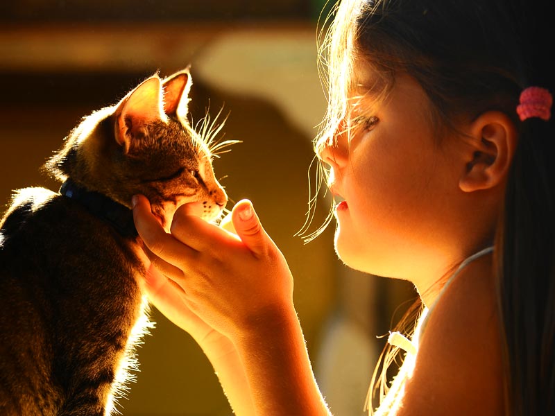 �����������ѧ��ҽѧԺ�о��������������������Ա�֢��ͯ���罻����