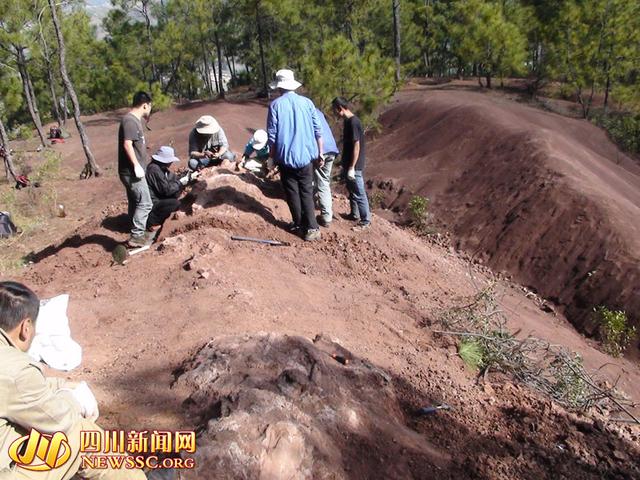 2014年12月中旬,在会理县南阁乡一山顶现场,专家正在对埋藏的恐龙化石进行清理,会理县文管所供图