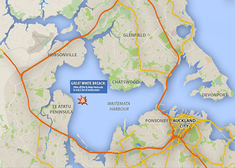 ר����Ϊ������������ǹ�ȥ�����ڰ¿������������ֵ�ͬһ������衣