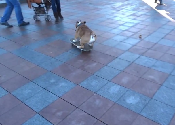 �ϻ������𻬰�����ģ������