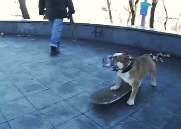 ���˻��ɰ����ϻ����Ǿ���������������