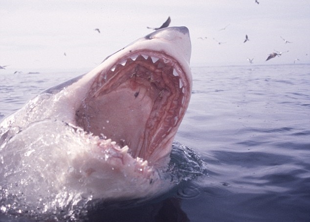 �ްγ���ʱ��Ϊ�����ϵ���ԭ������һ������衣(����ͼƬ)