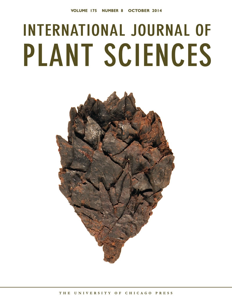 蒙古早白垩世地层中发现植物“木乃伊”化石——新种“周氏似纵”