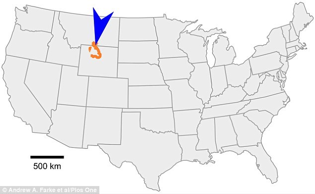 头盖骨出土于蒙大拿州,是北美大陆迄今发现的最早有角恐龙。橙色线表示蒙大拿和怀俄明大羊角盆地克罗夫利形成的露出部分。