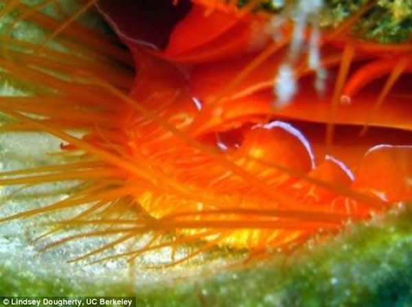 ֮ʵУоԲﱸĴз˺ܸߵҪɷ֡һֻԲﱸȸβϺ֮˻ȥʮֽ