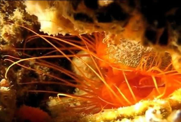 ΪﱻˮСԲﱸĴָоĴڣǵƵҲӡﶼԵġ