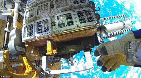 ���ʿռ�վ��¶2��ʵ����46�ֲ�ͬ��ϸ��������ͽ�֫���