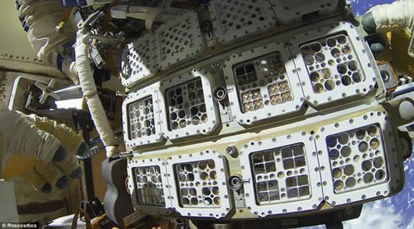 ��¶ʵ����һЩͨ���˵�һ����̫����ͬʱ����һ��ѹ�������ֻ��Ǵ�����������ҡ�