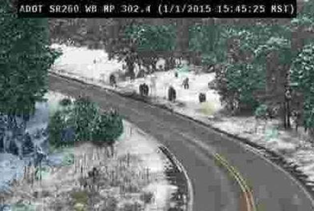 美国亚利桑那州交通局恶作剧:发现有大脚野人居住