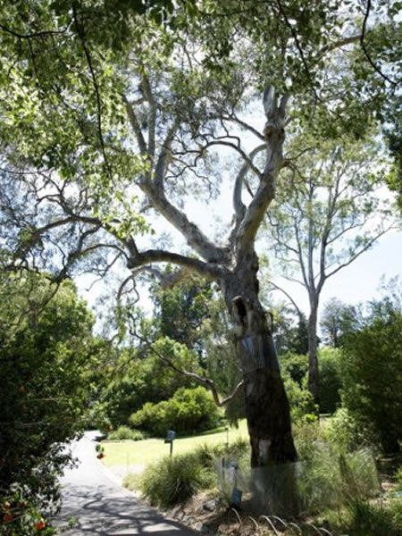 ����λ��ī�����ʼ�ֲ��԰��