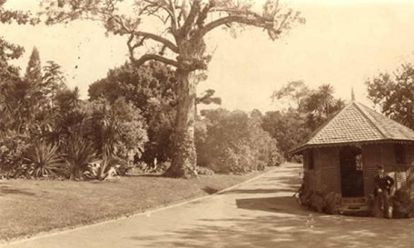 �ÿ��׳���������Լ400����ʷ