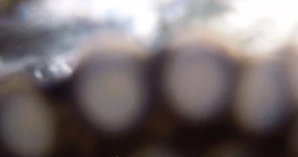 һֻ��������ˮ�������Ϊ����