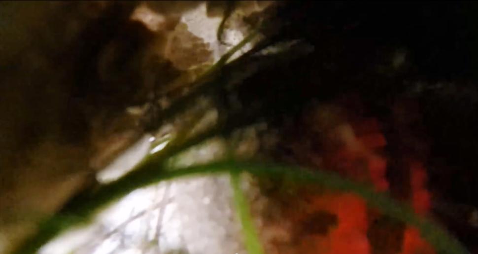 һֻ��������ˮ�������Ϊ����