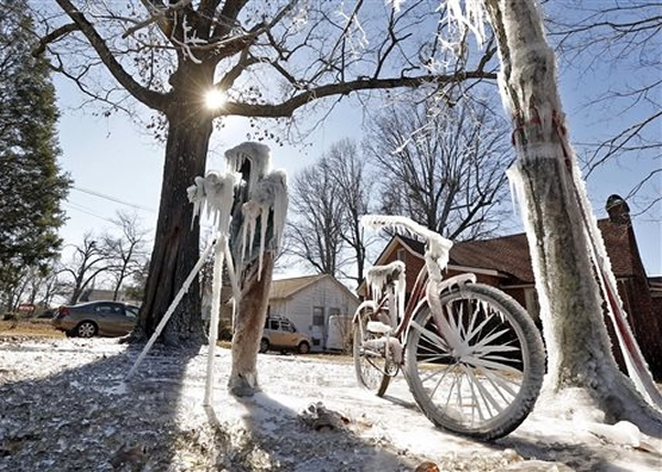 美国亚拉巴马州冷得树木结霜