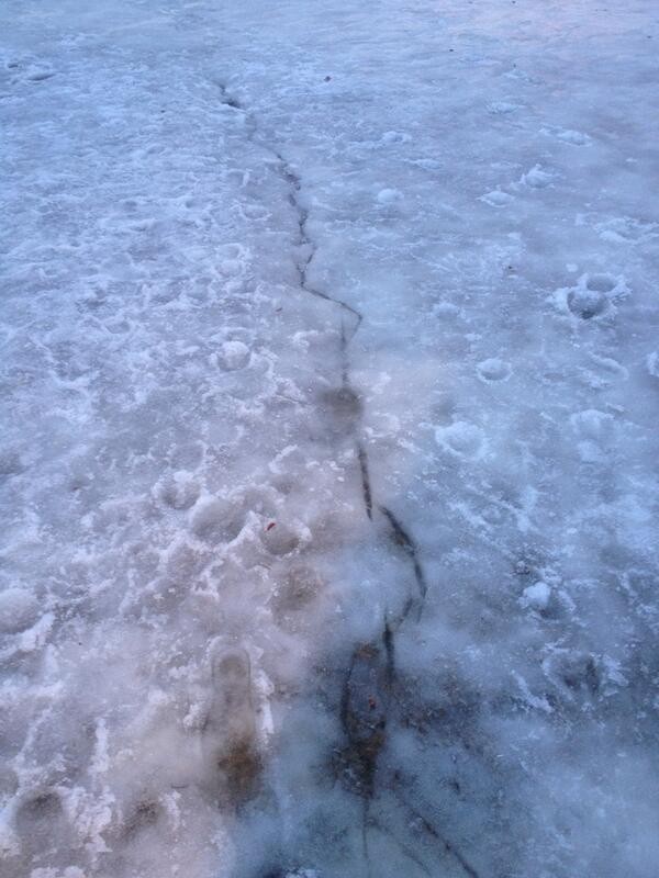 霜震后大地产生的裂痕