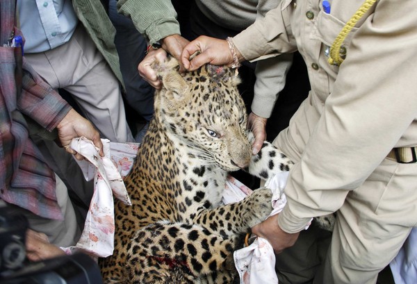 ��������Ա��������������ҽ