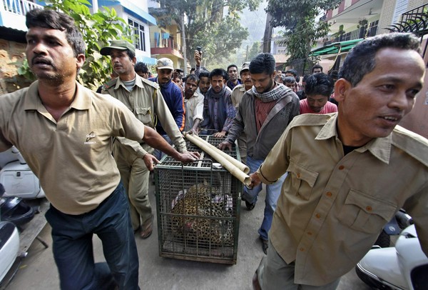 ��������Ա��������������ҽ