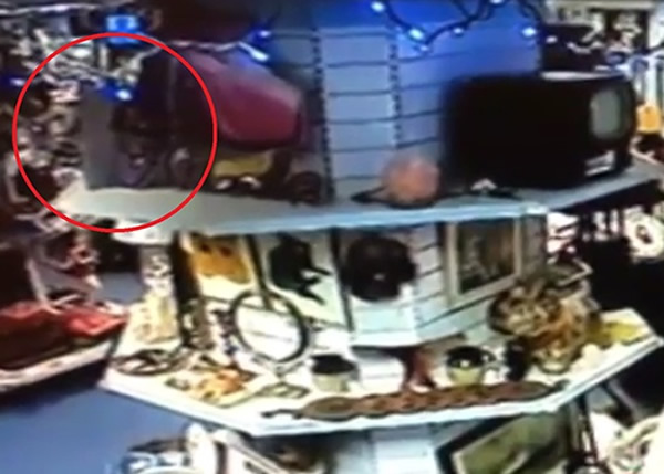 头骨图画(红圈示)原在木架上