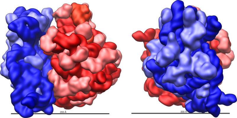生命进化或由核糖体驱动而非DNA