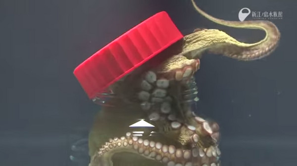 �ձ�ˮ��ݿֲ�һĻ�������Ȼ����ת��ƿ�������