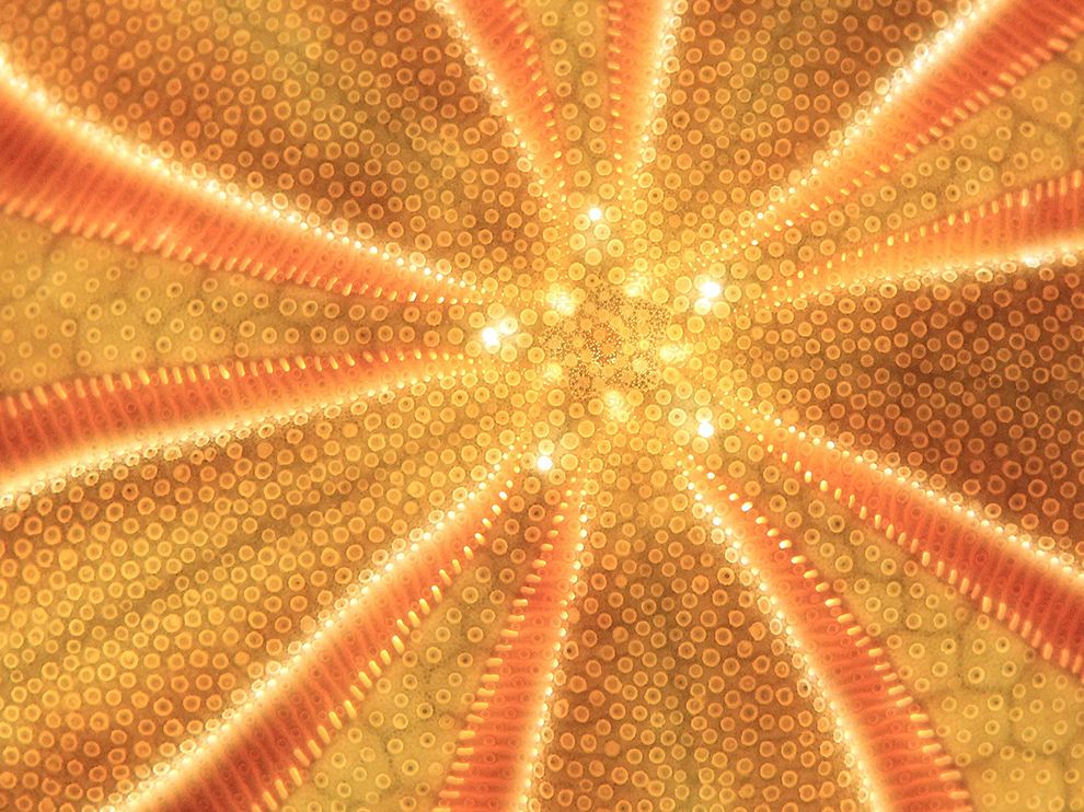 �������ݵ���������