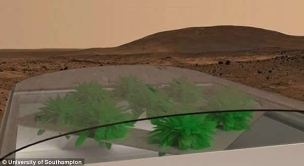 ϵԱҪҪ߱԰ռܡһӢ쵼ĿƻźɫˣϣƻһϢ(ҹͼʾ)